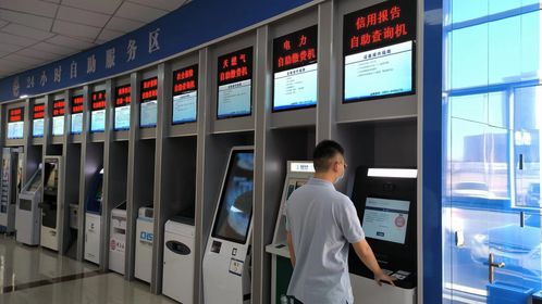 政務(wù)服務(wù)大廳創(chuàng)新便民舉措 征信報(bào)告自助查詢與物流信息咨詢服務(wù)雙入駐