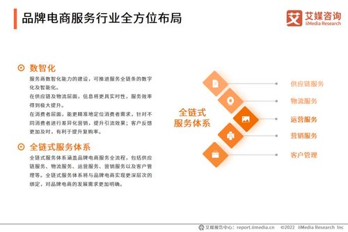 2022年中國品牌電商服務行業研究報告 物流信息咨詢服務的崛起與趨勢
